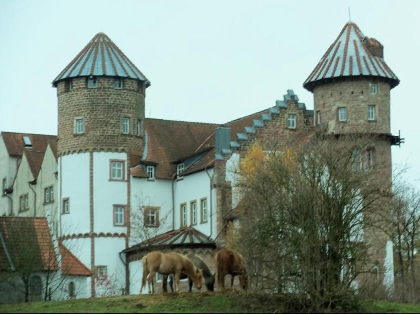 Luxus Appartement Im Schloss Fockelberg Exteriör bild